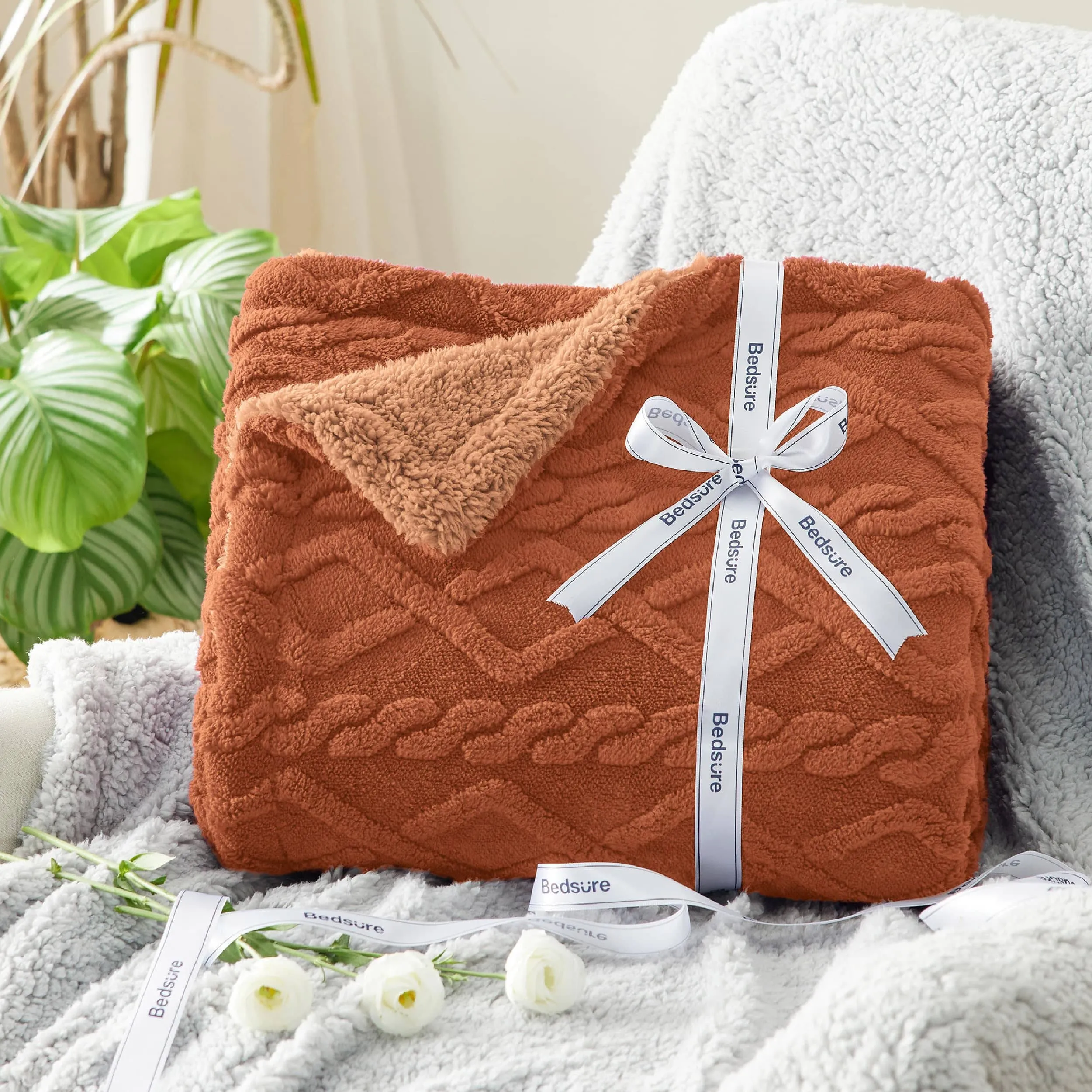 Bedsure Sherpa Throw Blanket For Couch