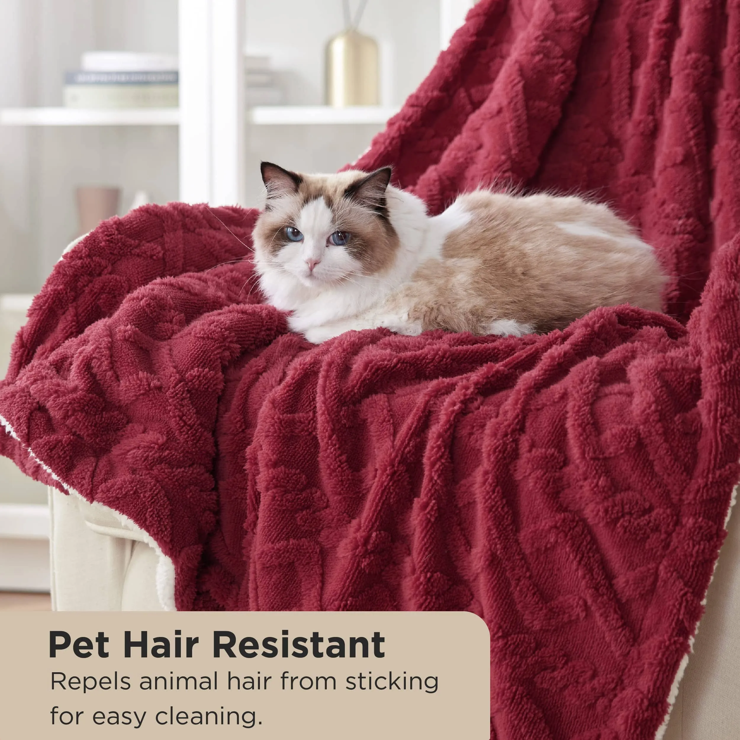 Bedsure Sherpa Throw Blanket For Couch