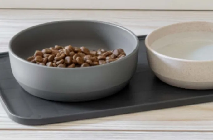 Bevel Wheat Dog Bowl