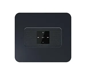 Bluesound Vault 2i