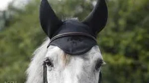 Fenwick LT Ear Bonnet With Sound Reducing Ears