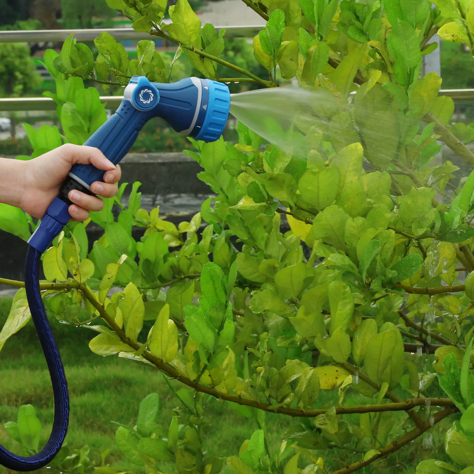 HE100 Water Expandable Hose, 100ft