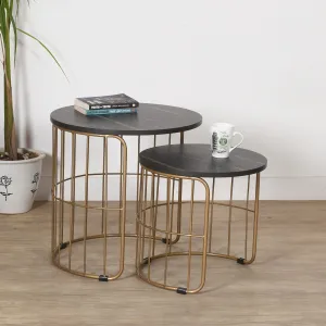 Priti - Nature Lover Golden Coffee Table Nesting Table Set of Two - center table - Tea table for living room - Golden - Black laminated marble table top